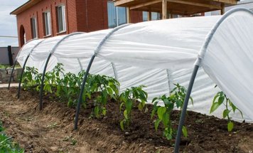 Парник "Пролісок" з агроволокна на дугах для дачі 8 м , теплиця невеличка Parnuk-13 фото