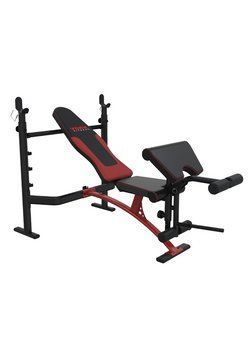 Лава для жиму York Fitness Delta Pro 1000 зі стійкою, партою Скотта, регульована, для дому, до 150 кг 14961551020 фото