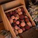 Новорічні кулі 40 шт Мікс Бархат Оксамит Коричневий. Набір новорічних куль id_138541 фото 1
