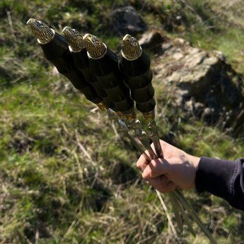 Подарунковий набір шампурів "Орел" 6 шт, 45 см, з нержавіючої сталі з дерев'яною ручкою для м'яса. Комплект шампурів SKK66 фото